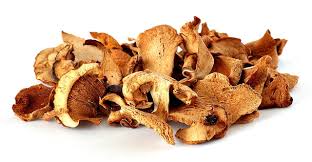 FUNGHI SECCI